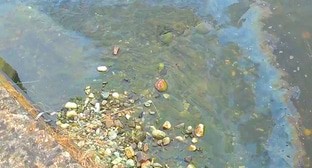  ������� ��������� ���� ����������� ���������� �������� ������ 