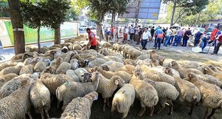  ���� ������������ ������-������� �������� ��������� ��������� 