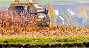  ��� ���������-�������� �������� ���������� ������ ������ ������� 