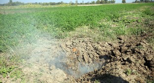  ����������� ������� �������� ������ ���� �������� �������� 