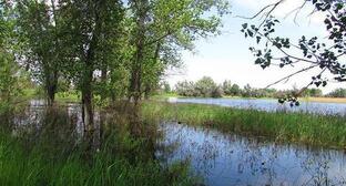  ��������� ������� ���� �����-����������� ����� �������� ������� ��������� 