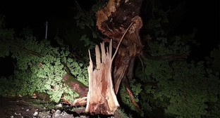 ����: kavkaz-uzel.ru