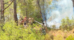 ����: kavkaz-uzel.ru