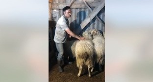  ������� ������������� ���������� ������ ������� ��������� ������ ������ 