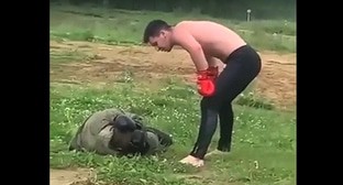  ������������ ���� ��� �������� ����������� �������� ���������� 