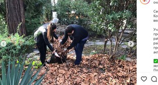 Отчет мэрии Сочи о городском субботнике вызвал критику в Instagram