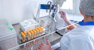 ����: kavkaz-uzel.ru