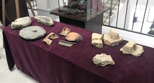 Музей в Нальчике получил археологические находки с городища Нижний Джулат