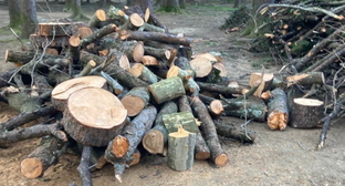 Фото: am.vesti.news