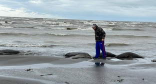 Фото: am.vesti.news