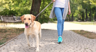  ��������� ������ ����� ������ ��������� ������ ���������� ������ 