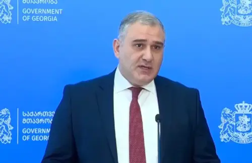 Михаил Сарджвеладзе. Скриншот видео Администрации правительства