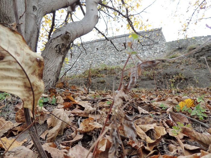 Монастырская стена, дерево, осенняя листа....