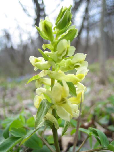 Фото корреспондента "Кавказского узла"