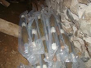 Схрон боеприпасов, найденных в селе Сакен Гульрипшского района. Фото пресс-службы Погрануправления ФСБ России в Абхазии