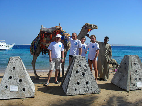 Искусственные рифы перед погружением. Ноябрь 2009. Автор фото Сергей Котеньков