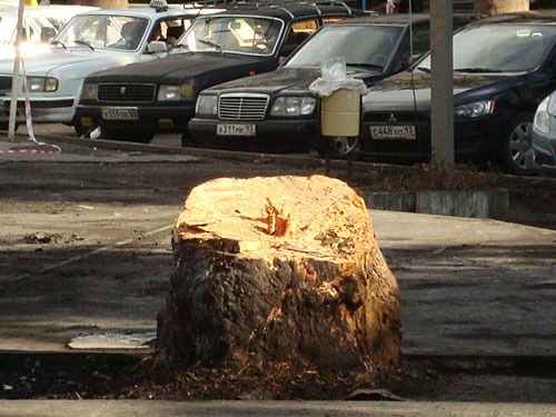 После пожара на территории Торговой галереи Сочи, 2 января 2010 года. Фото "Кавказского Узла"
