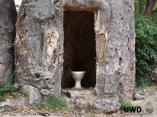 Туалет в дереве-1.