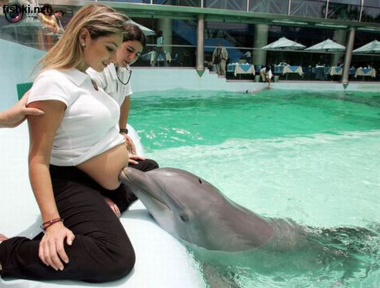 Если кто скажет, что этот дельфин не мальчик - пусть в меня кинет камень...:))))