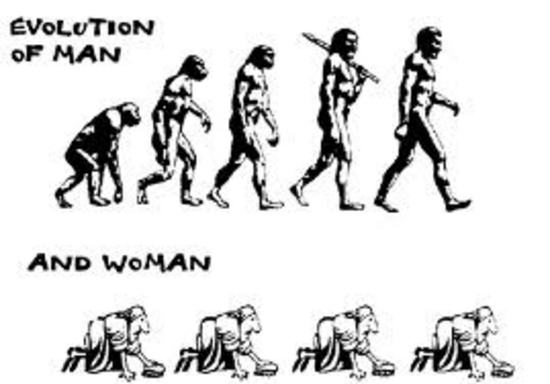 Эволюция по половому признаку.:))))