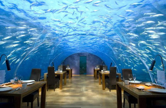 Крыша ресторана из прозрачного акрила обеспечивают посетителям панорамный обзор подводного мира с углом в 270 градусов.