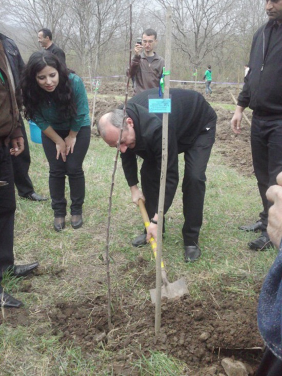 Президент Нагорного Карабаха Бако Саакян сажает дерево.