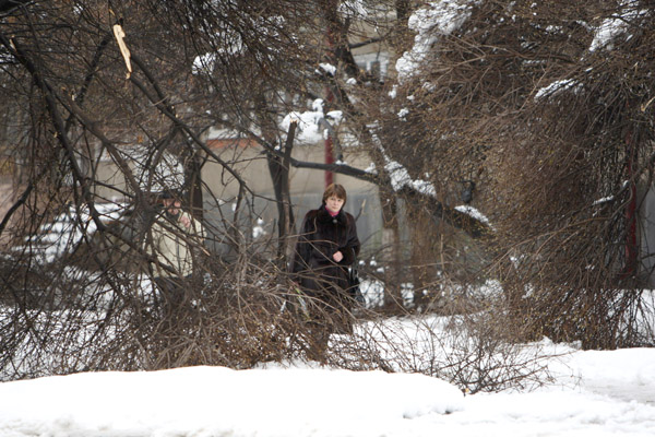 Северная Осетия, г. Владикавказ, 13 апреля 2011 г. В результате обильного снегопада сломались ветви деревьев. Фото "Кавказского узла"