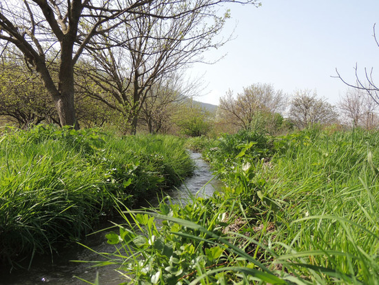 Арык с чистой, прозрачной водой из реки Кар-кар.