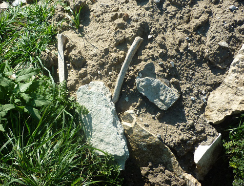 Человеческие останки, найденные в захоронении, на территории пепельного карьера близ селения Заюково. КБР, Баксанский район, 2013 г. Фото Виктора Котлярова 