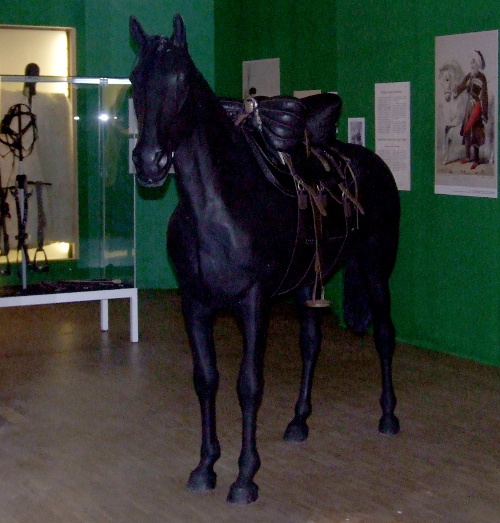 "Черкесский конь" на выставке, посвященной черкесскому народу, в музее этнографии. Гамбург, 24 ноября 2013 г. Фото Эдиты Бадасян для "Кавказского узла"