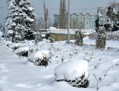 Городской приморский парк Махачкалы после снегопада. Дагестан, 31 января 2014 г. Фото Тимура Исаева для "Кавказского узла"