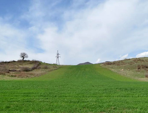 Озимые посевы зерновыхв общине Красный Базар, Мартунинского района. Нагорный Карабах. Апрель 2014 г. Фото Алвард Григорян для "Кавказского узла" 