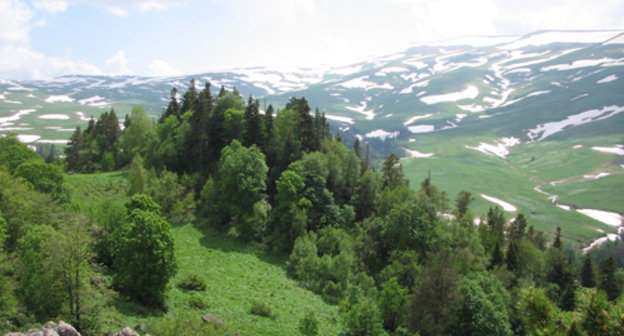 Плато Лаго-Наки. Фото с сайта www.yuga.ru