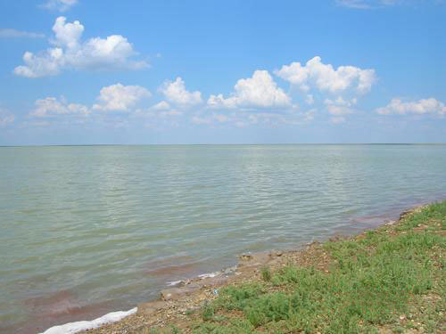 Калмыкия, озеро Б.Яшалтинское. Фото с сайта http://web2.0kalmykia.ru