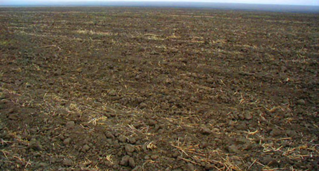 Поле в Ачхой-Мартановском районе Чечни. Фото с сайта www.chechnyafree.ru