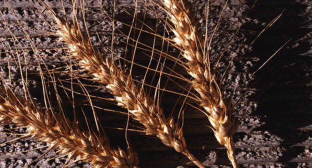 Фото с сайта www.agro.volganet.ru