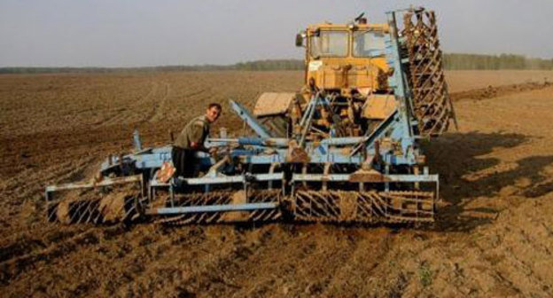 Фото с сайта www.agro.ru