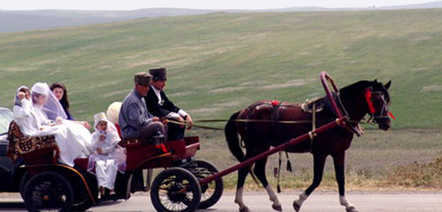 Ингушетия, свадьба. Фото с сайта www.ingushetia.ru