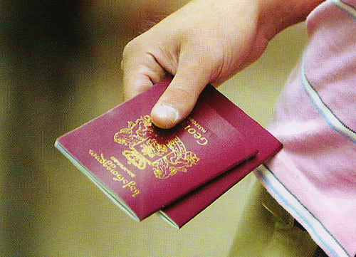 Паспорт гражданина Грузии. Фото с сайта http://ru.wikipedia.org