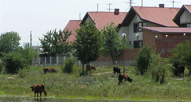 Ингушетия. Фото с сайта www.venividi.ru/user/183, автор Артём Русакович