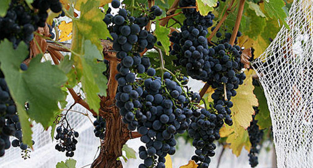 Фото с сайта http://ru.wikipedia.org