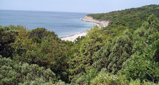 Утриш. Краснодарский край, РФ. Источник: www.save-utrish.ru 
