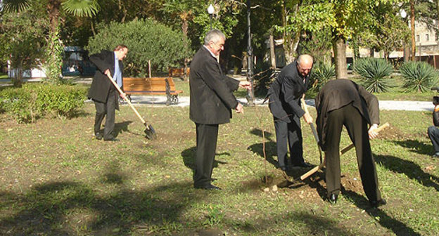 Депутаты нынешнего и "золотого" созывов парламента сажают деревья в парке у столичной администрации. Абхазия, Сухум, 26 ноября 2009 года. Фото "Кавказского Узла"