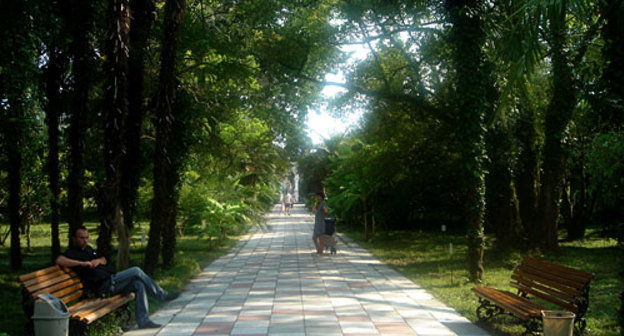 Летом в Сухумском ботаническом саду. Фото "Кавказского Узла"