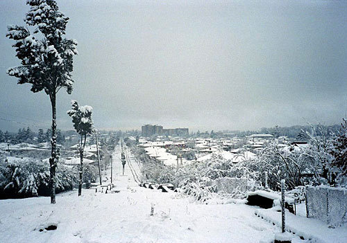 Грузия, Зугдиди, проспект Руставели. Фото с сайта http://www.panoramio.com/photo/2043831