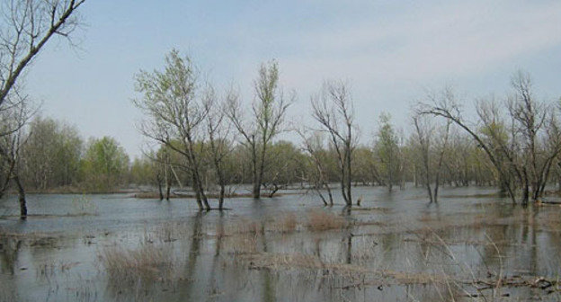 Паводок на реке Иловля, Волгоградская область, 2003 год. Фото "Кавказского Узла"
