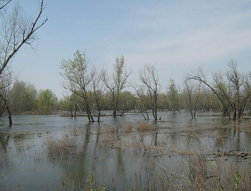 Паводок на реке Иловля, Волгоградская область, 2003 год. Фото "Кавказского Узла"