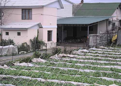 Стандартное домовладение в Имеретинской низменности. Фото "Кавказского Узла"