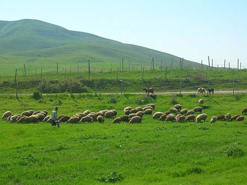 Нагорный Карабах, Мартунинский район, апрель 2010 года. Фото "Кавказского Узла"