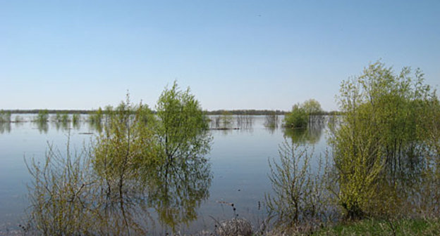 Паводок на острове Сарпинский. Волгоградская область, 6 мая 2010 года. Фото "Кавказского Узла"